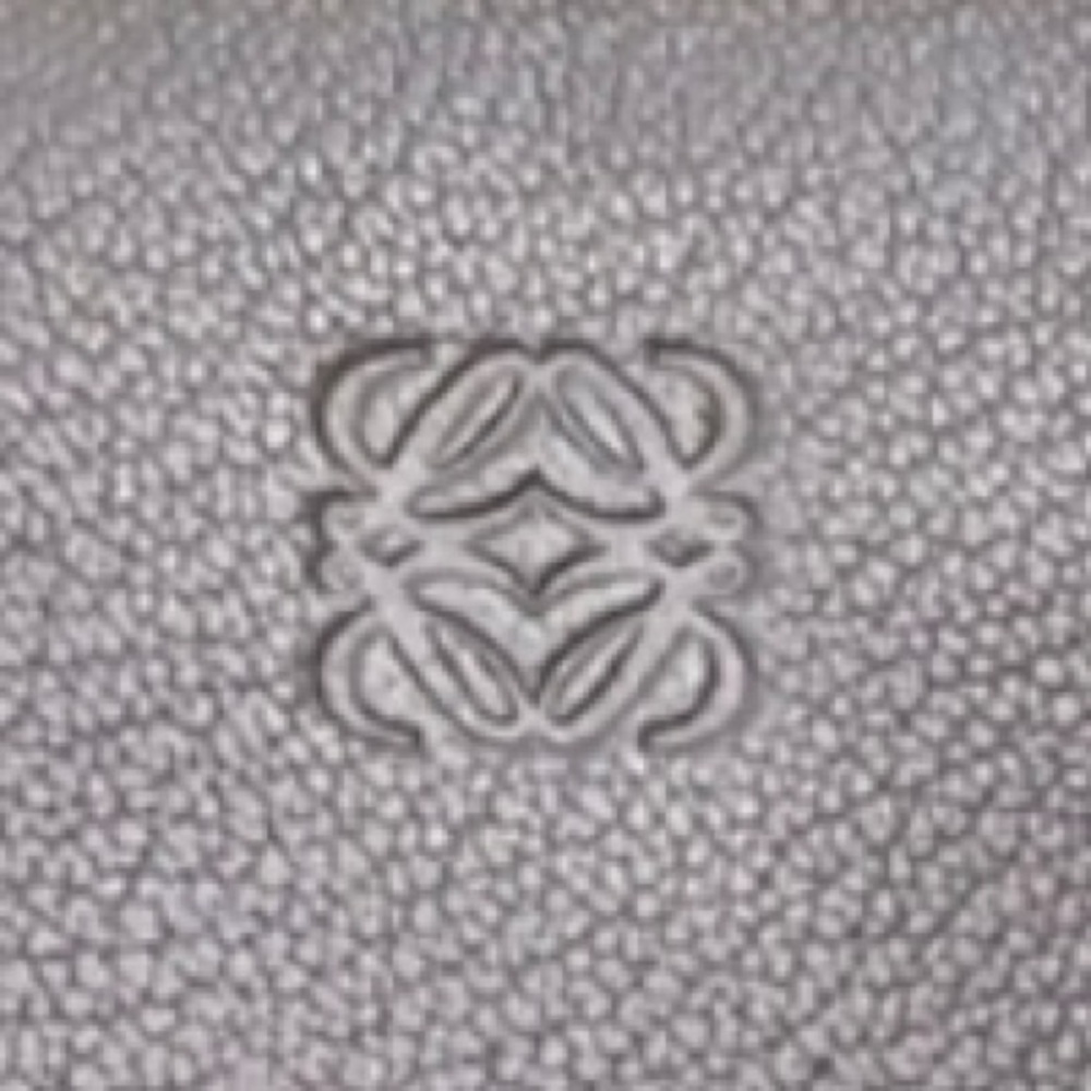 LOEWE Zip Around Amazona Wallet - Picture 16 of 16